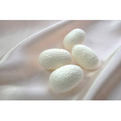 天然の美容繊維　シルク混のびのび5分丈パンツ　フリーサイズ　ベージュ　H-S2500