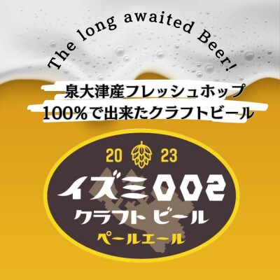 泉大津市　イズミ002クラフトビール　ペールエール　330ml　12本