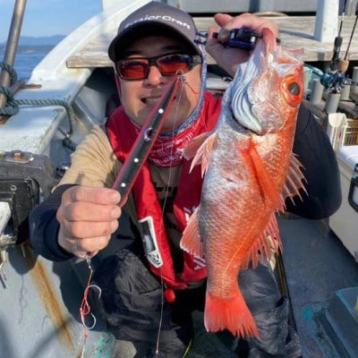 フルボ250g　おすすめカラー　2本セット