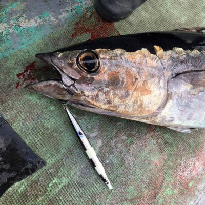 フルボ250g　おすすめカラー　2本セット