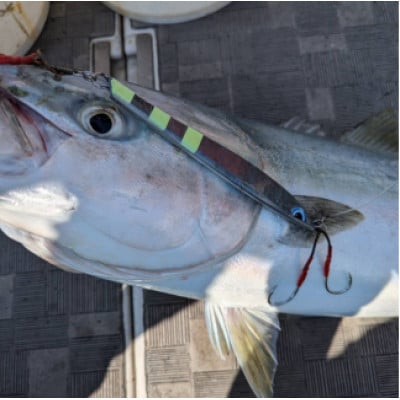 ルンゴ2　190g　オススメカラー　2本セット