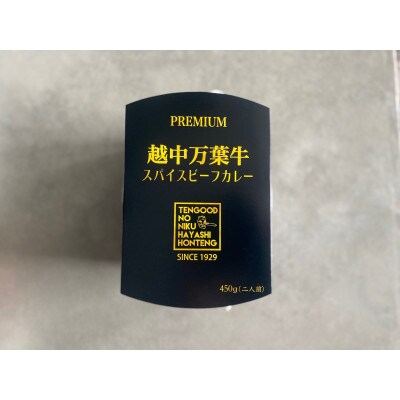 越中万葉牛スパイスビーフカレー　450g×2P