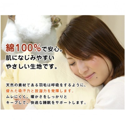羽毛布団【DL(ダブルロング)】ハンガリー産ホワイトダックダウン85% 無地