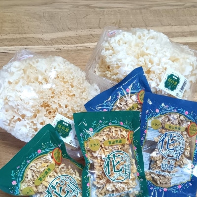 「栄養価に優れた今注目のきのこ」花びら茸生乾ギフトセット