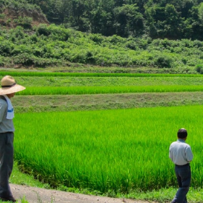 令和7年産 富山県産コシヒカリ5kg