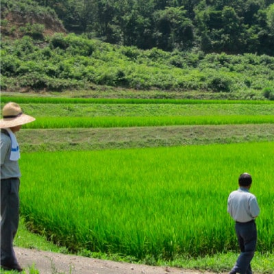 令和7年産 富山県産コシヒカリ5kg×2袋(計10kg)