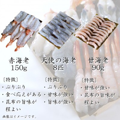【3種】『海老の昆布締め』(甘えび、赤海老、天使の海老)「魚との清水」富山県 高岡市