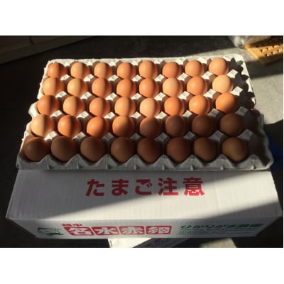 越中名水赤たまご　M　80個