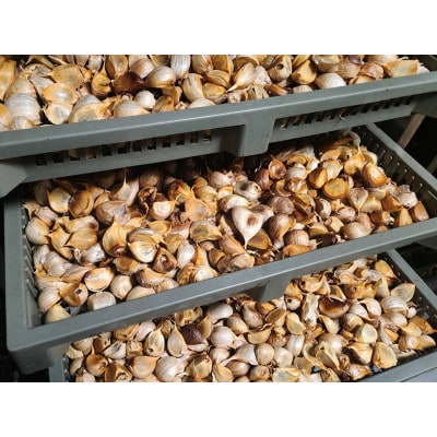 富山県産にんにく元氣モリモリにんにく三昧　5品セット(計7点)