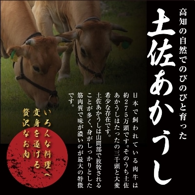 土佐あかうし和牛スジ400g×2
