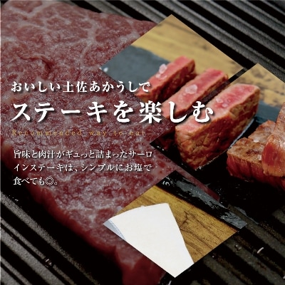 土佐あかうし和牛モモステーキ170g×2