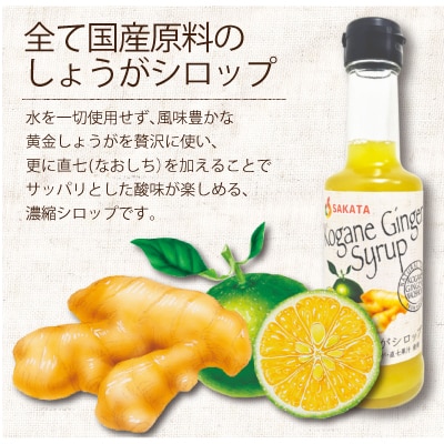 ジンジャーシロップ200ml　3本セット