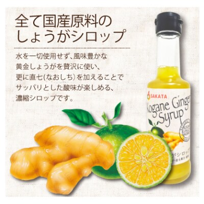 ジンジャーシロップ200ml　12本セット