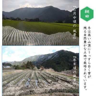 【ふるさと納税限定】令和6年産高知県　にこまる米5kg