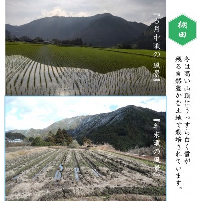 【ふるさと納税限定】令和6年産高知県　ヒノヒカリ米5kg