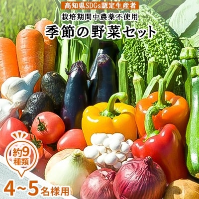 【高知県SDGs認定生産者】農薬不使用 季節の野菜セット(4～5名様用) | ふるさと納税のお礼品