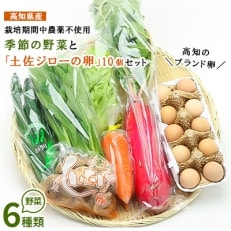 【高知県産】栽培期間中農薬不使用・季節の野菜と高知のブランド卵「土佐ジローの卵」セット