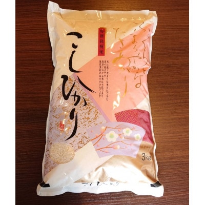 【2024年産】【高知県SDGs認定生産者】高知県産 コシヒカリ約3kg