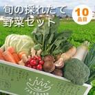 【産直】旬の採れたて野菜セット　10品目「新鮮だから美味しい!」