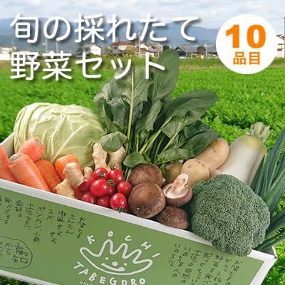【産直】旬の採れたて野菜セット　10品目「新鮮だから美味しい!」