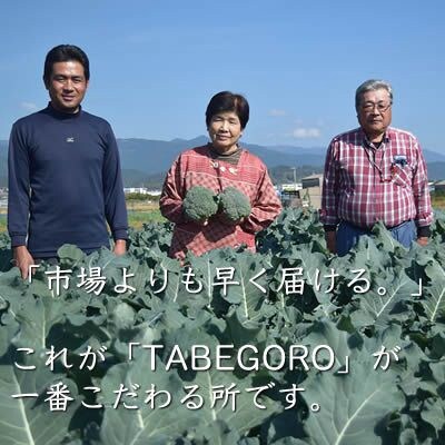 【産直】旬の採れたて野菜セット　10品目「新鮮だから美味しい!」