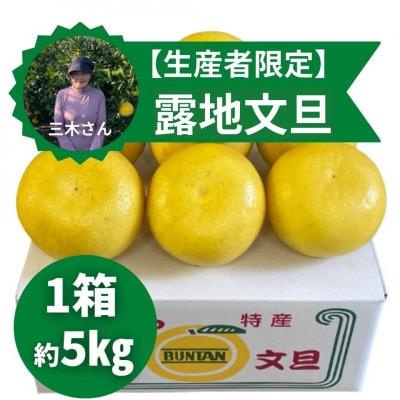 三木さんの露地土佐文旦 1箱5kg(6~7玉入)