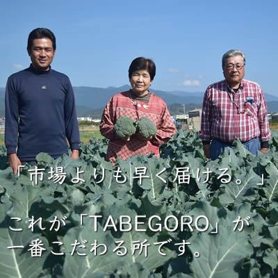 【毎月定期便】『定期便』野菜詰合せセット全12回