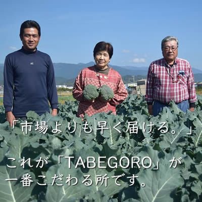 2022年12月発送開始『定期便』野菜詰め合わせ6ヵ月　全6回