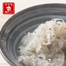 高知産「生シラス」イワシ稚魚100g×5P入り(タレ付)