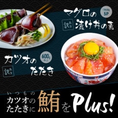 訳あり カツオたたき600g+マグロ漬け丼の素 80g&times;5P