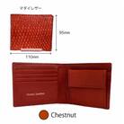 Ocean Leather 二つ折り財布【マダイ/Chestnut】