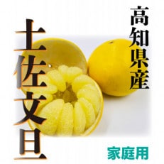 【ふるさと納税】高知県香美市　旬の味覚　土佐文旦　約4.5kg　家庭用 | ふるさと納税のお礼品