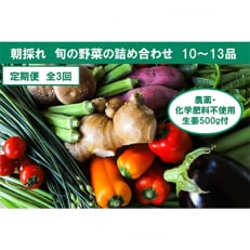 【毎月定期便】旬の野菜と栽培期間中農薬不使用の生姜付き全3回