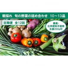 【毎月定期便】旬の野菜と栽培期間中農薬不使用の生姜付き全12回