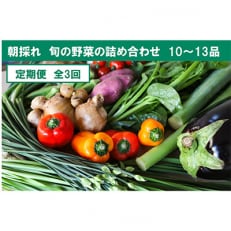 【毎月定期便】土佐野菜の旬の野菜詰め合わせ10～13品目全3回