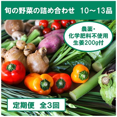 2023年7月発送開始『定期便』旬の野菜と栽培期間中農薬不使用の生姜付き全3回