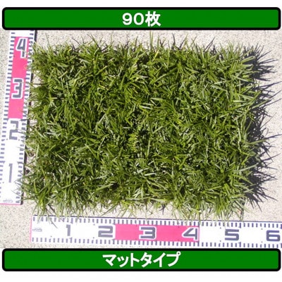 タマリュウ(玉竜) 90枚 タマリュウ.com