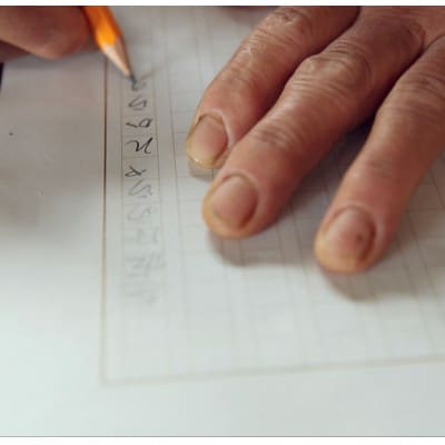 【毎月定期便】旬の朝採れ土佐野菜詰め合わせ(10～13品目)全3回