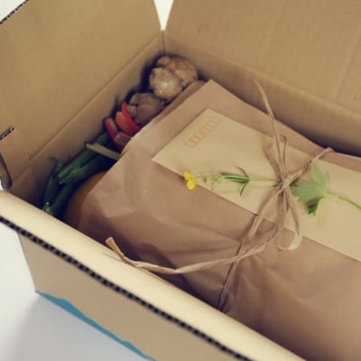 【毎月定期便】旬の朝採れ土佐野菜詰め合わせ(10～13品目)全6回