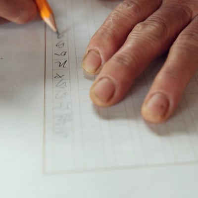 【毎月定期便】旬の朝採れ土佐野菜詰め合わせ(10～13品目)全6回