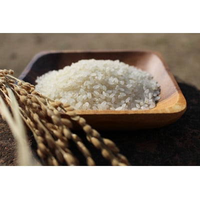 【数量限定】令和6年産　岡山西大寺特別栽培米ヒノヒカリ　精米4kg
