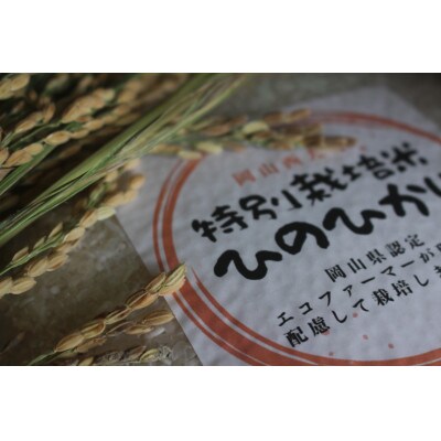 《令和6年産》岡山西大寺特別栽培米ヒノヒカリ精米5kg