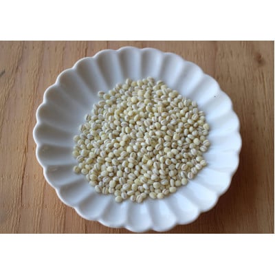 令和7年産もち麦(キラリモチ)岡山西大寺幸せもち麦　2kg(200g×10袋)