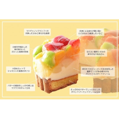 【岡山のフルーツたっぷり400g使用!】人気タルト専門店「STYLE」の鬼盛りフルーツタルト5号