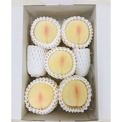 ご家庭用　おかやまの桃　約1.3kg