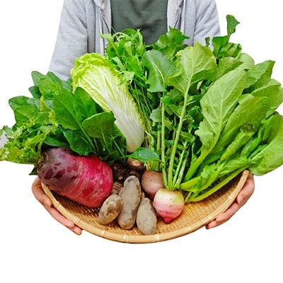 ミモレ農園　有機JAS認定おまかせ野菜とお米のセット　A
