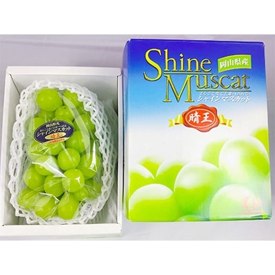 【秀品】種無ぶどう!シャインマスカット　晴王　1房(約650g)9月発送分　ギフトにも