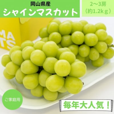 2026年9月より順次発送　ご家庭用 岡山県産 シャインマスカット 1.2kg(2～3房)
