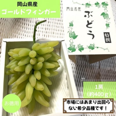 2026年8月より順次発送　岡山県産ゴールドフィンガー 1房(約400g)