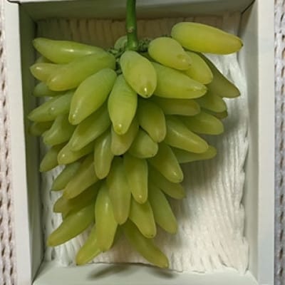 2026年8月より順次発送　岡山県産ゴールドフィンガー 1房(約400g)